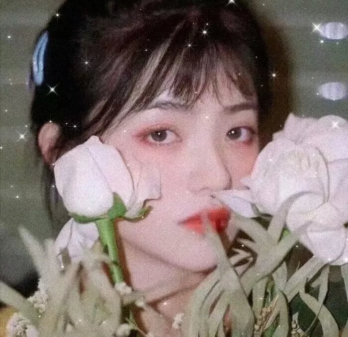 誓约归隐